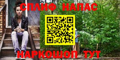 стаф Пенза