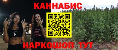 стаф Пенза