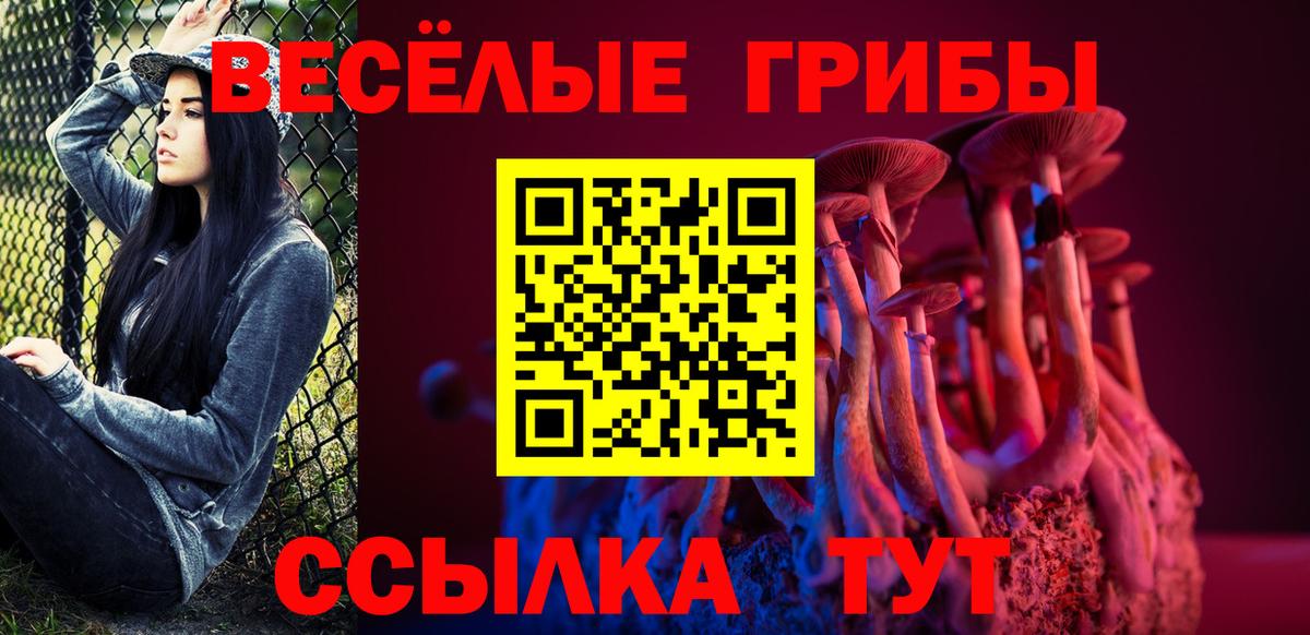 Псилоцибиновые грибы Psilocybe Родники