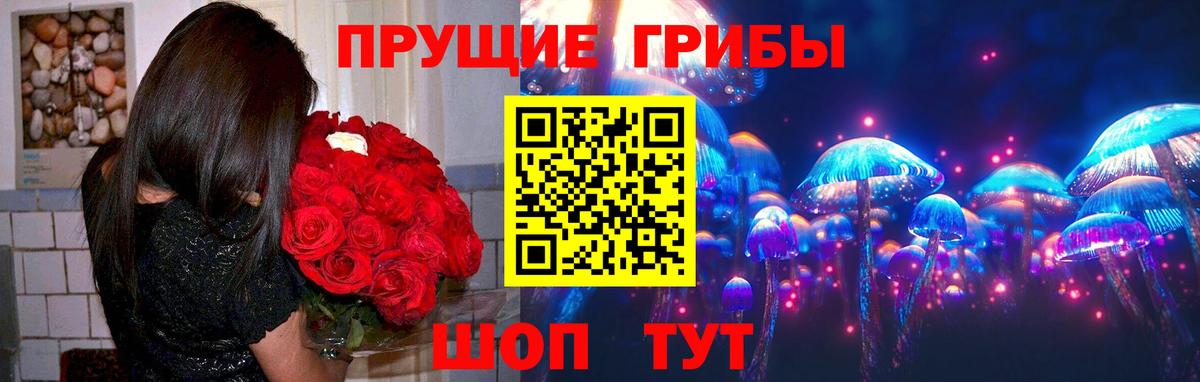 Родники  Псилоцибиновые грибы Magic Shrooms  Вход с VPN 
